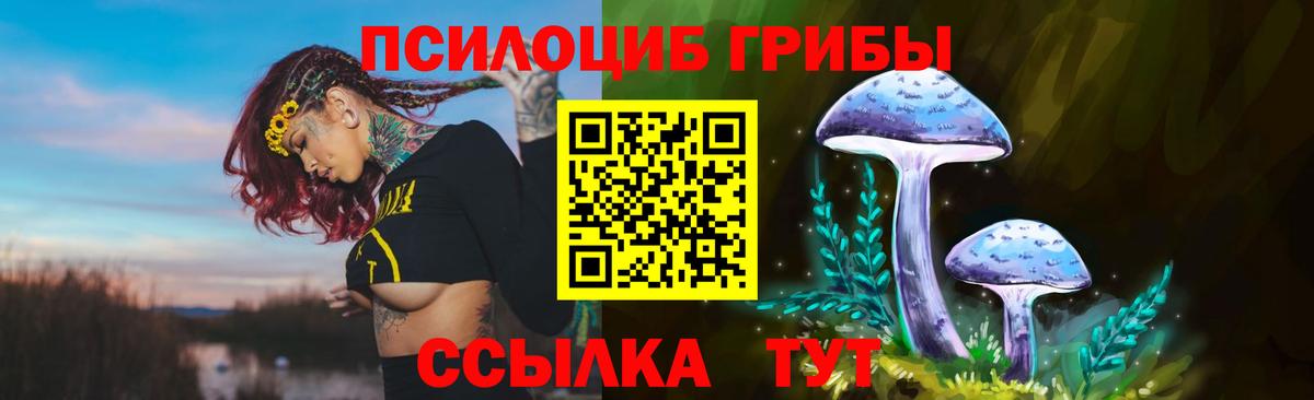 Псилоцибиновые грибы Cubensis  купить закладку  Калининград  Галлюциногенные грибы Cubensis  Вход с VPN 